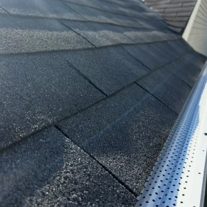 vacuum gutter cleaning packages