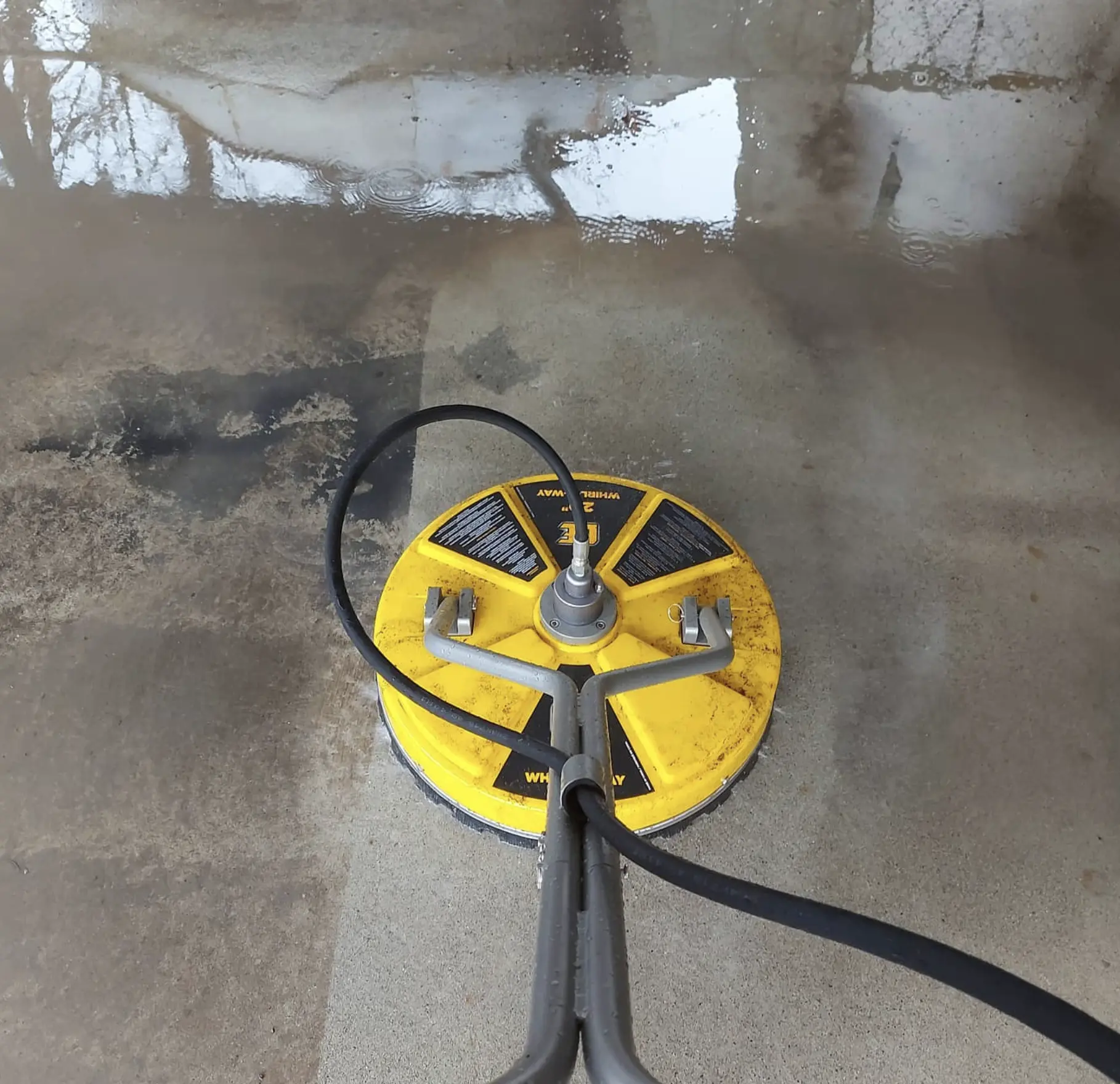 eliminate concrete mildew