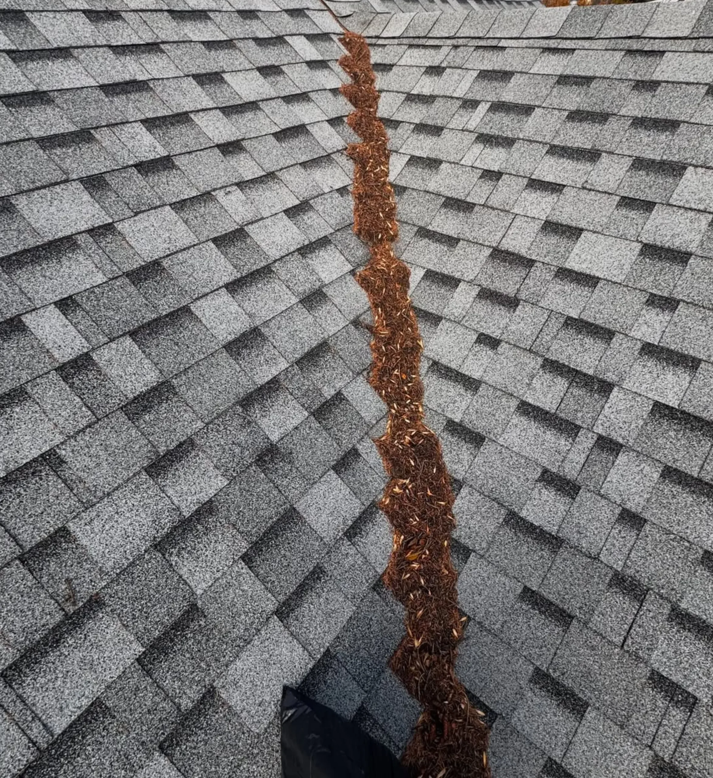 how long do gutters last