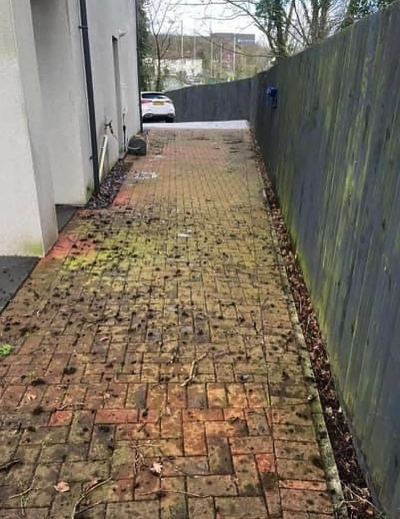 pressure washer remove algae from floor