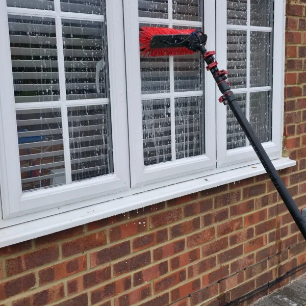 professional deep cleaning