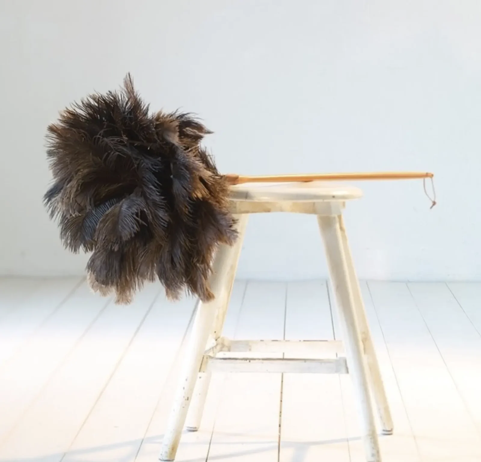 remove dust from the top down