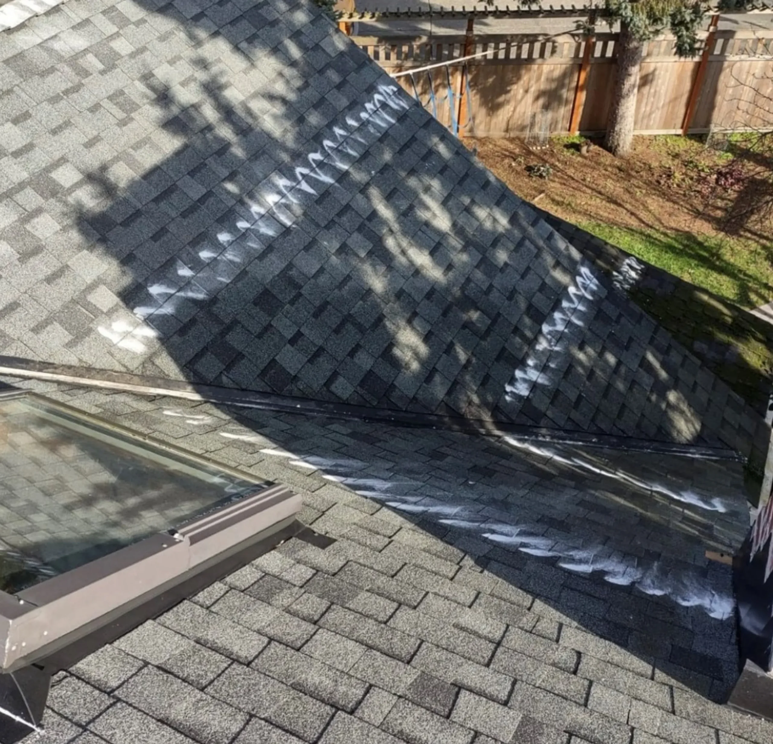 biocide roof cleaner