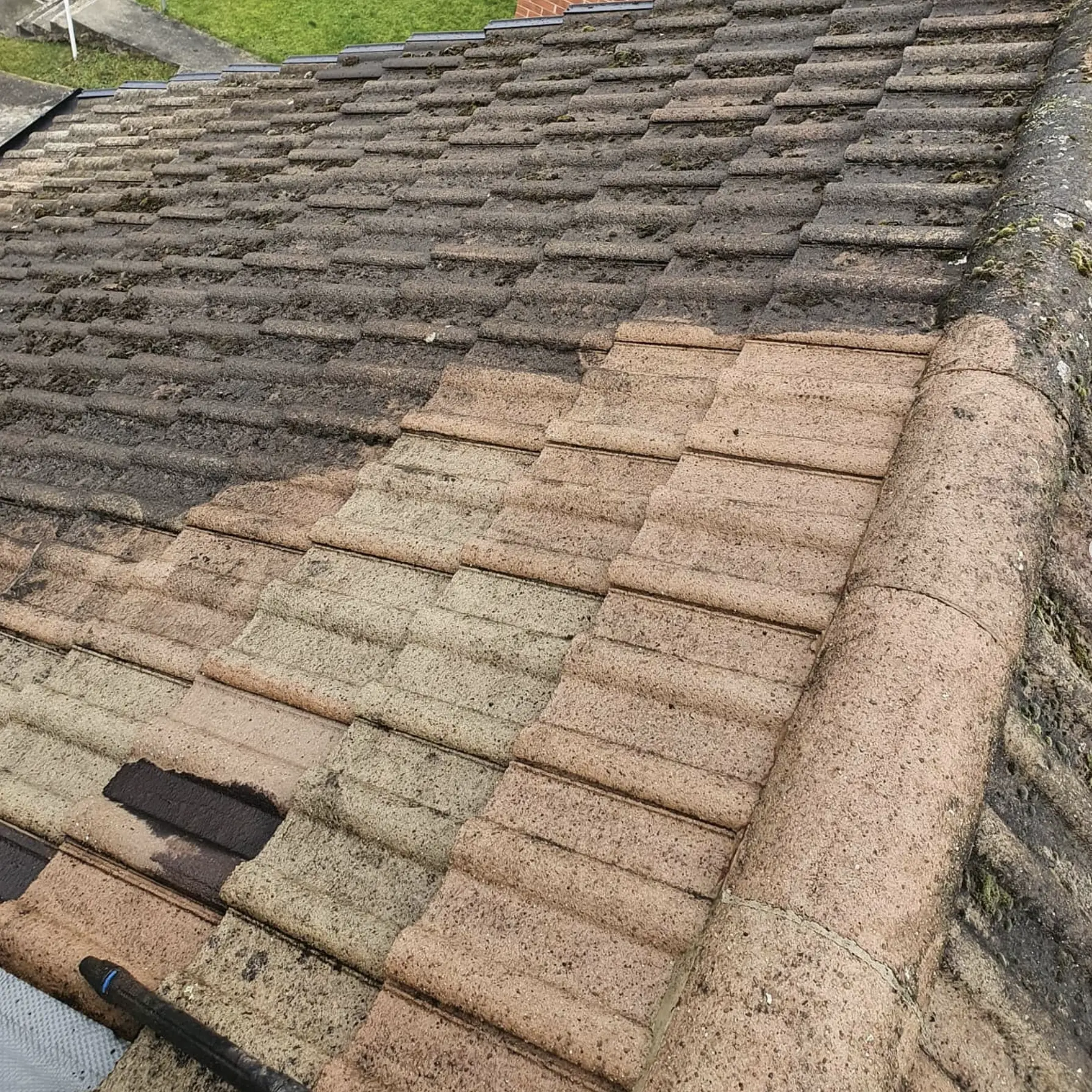 biocide roof treatment