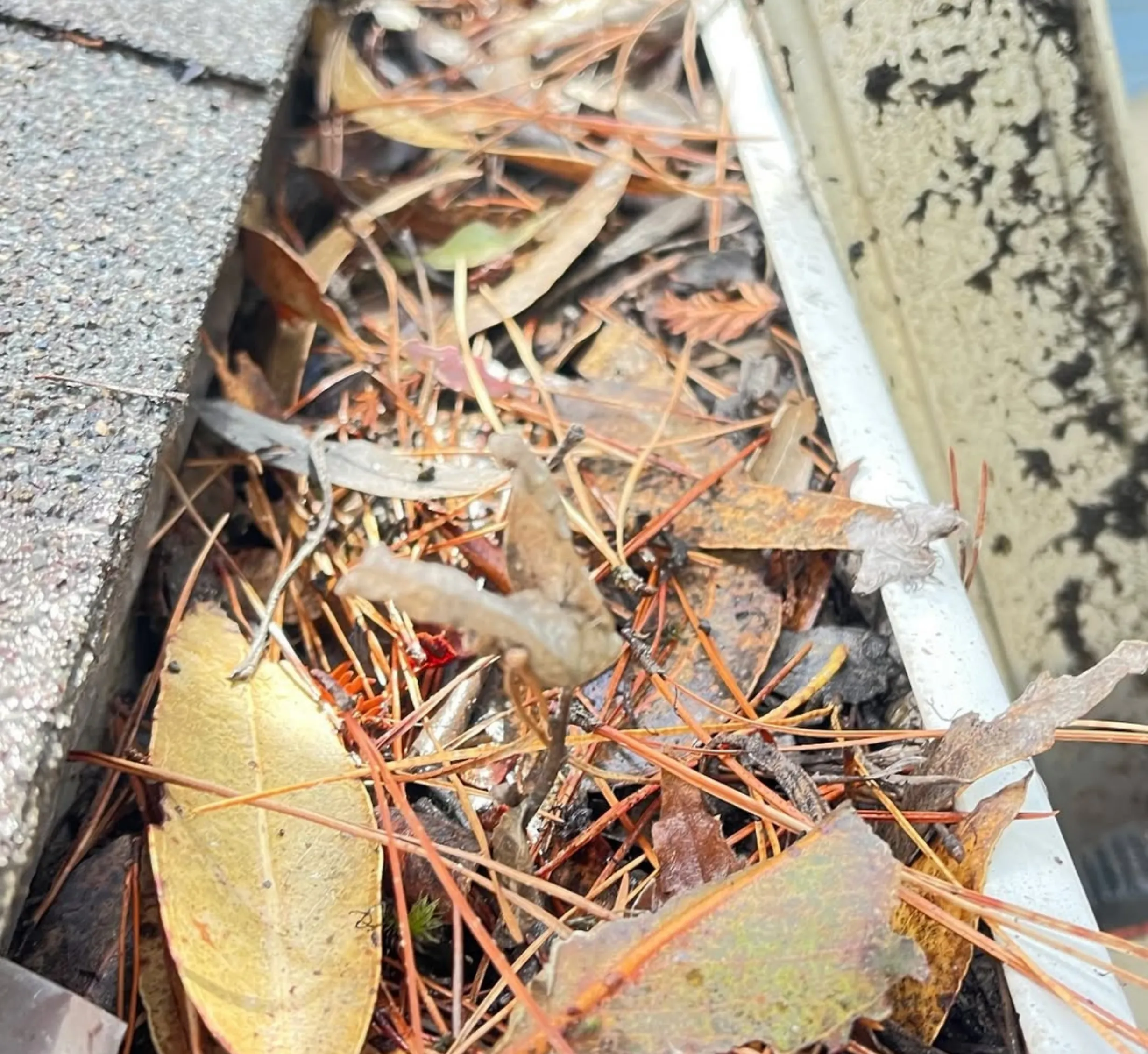 types of gutters Australia