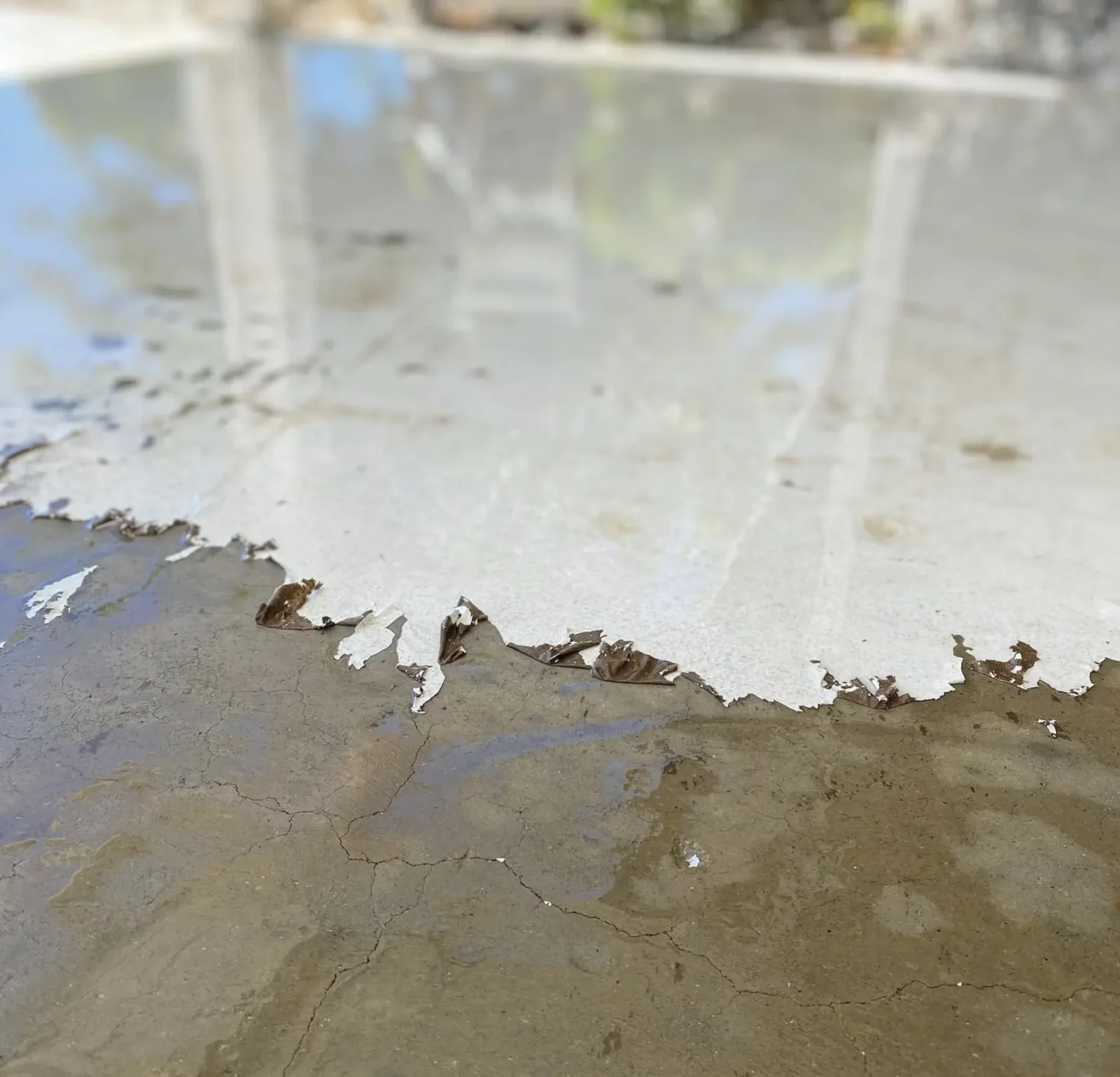 vinegar paint removal from concrete