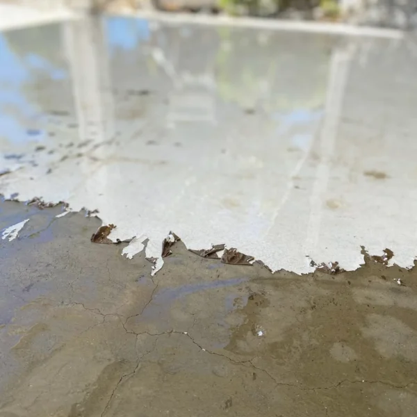 vinegar paint removal from concrete